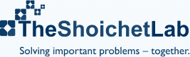 The Shoichet Lab