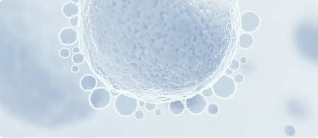 Cell structure close-up
